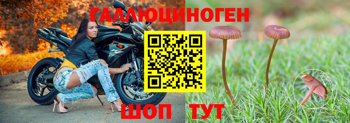 Галлюциногенные грибы Cubensis  Галлюциногенные грибы ЛСД  Майский  Вход с VPN 